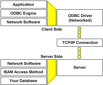 Network Edition Architecture